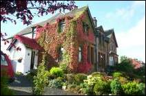 B&B