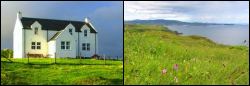 Coillabus Cottage