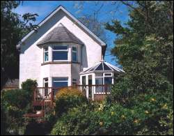 B&B