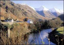 Woodlands photo in Glenshiel
