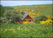 Log cabin