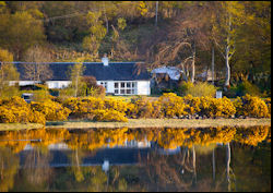 Loch view