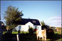Skye cottage photo