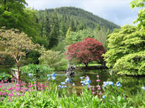 Scottish garden photo