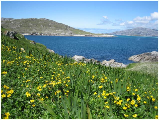 Photo of Scarp - Isle of Harris