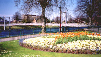 Gardens near Talisker