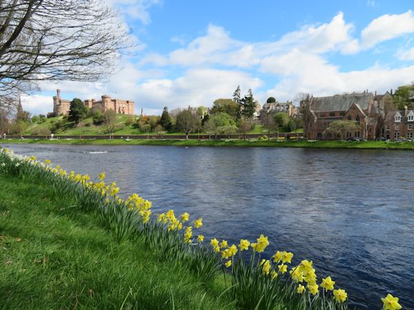 Inverness Castle and daffodils, spring 2017