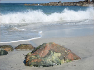 Beach at the North end of Iona