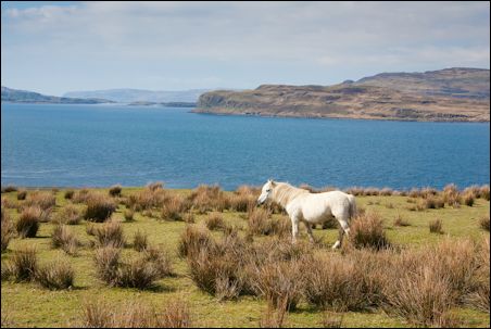 Loch na Keal, Isle of Mull, Scotland