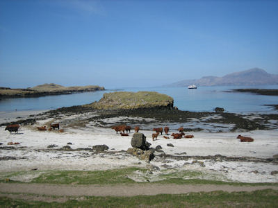 Isle of Muck