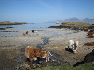 Isle of Muck